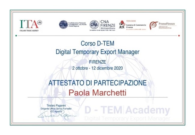 Digital Temporary Export Manager DTEM esperto digitale esportazioni internazionalizzazione
